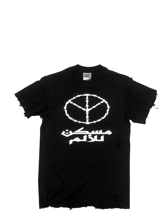 Translation missing: en.Peace