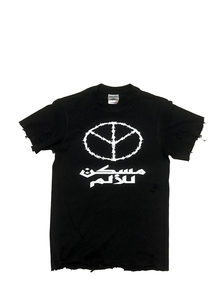 Translation missing: en.Peace